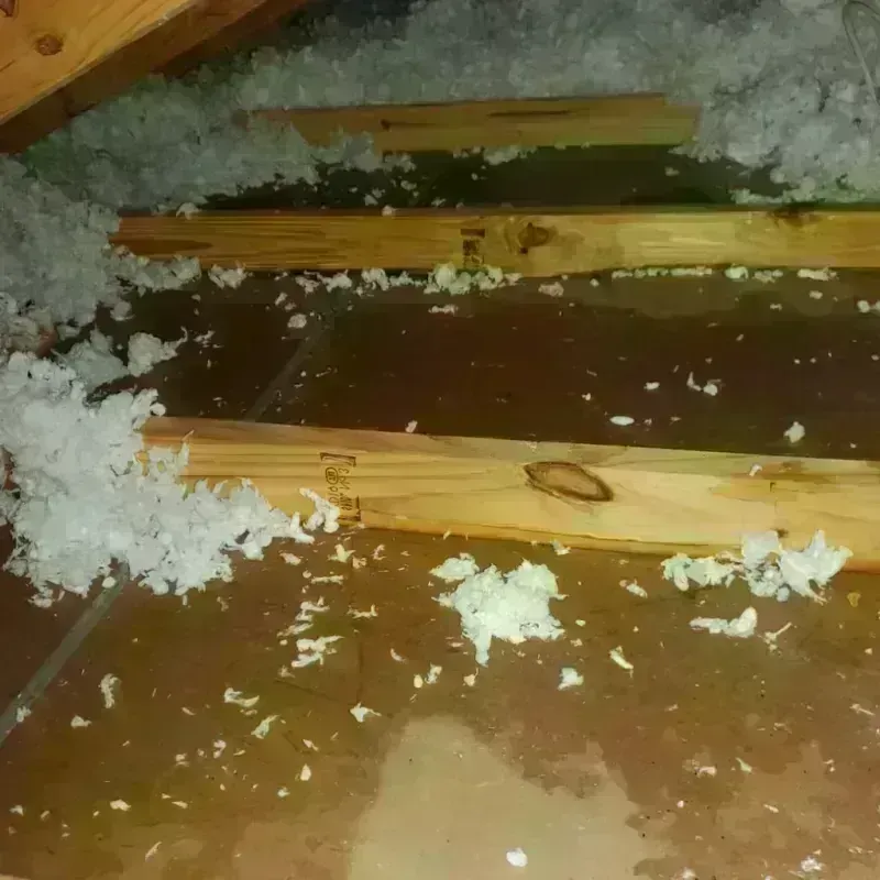 Attic Water Damage in Archbold, OH