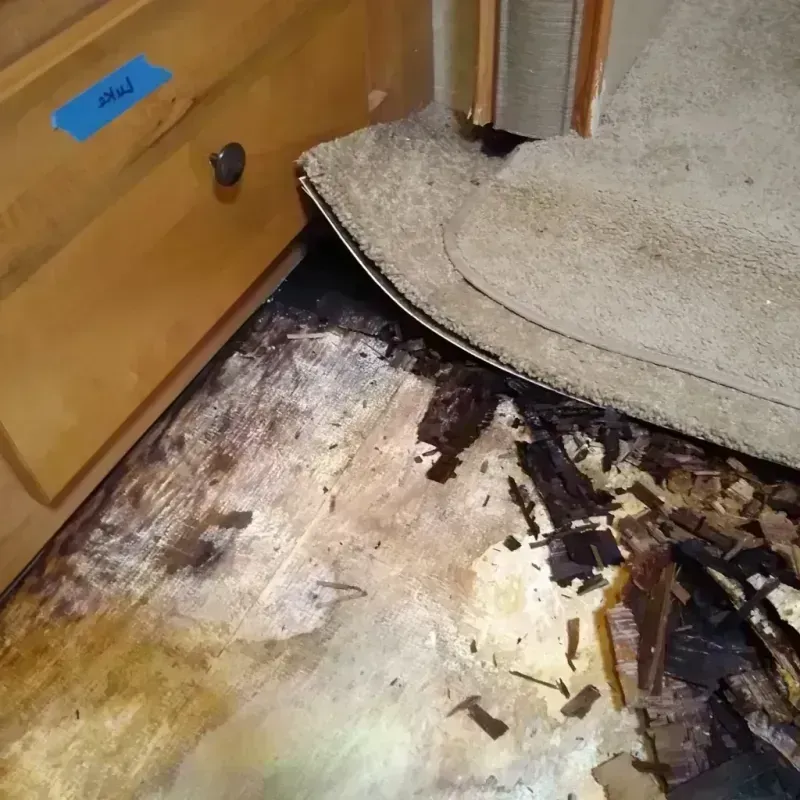 Wood Floor Water Damage in Archbold, OH